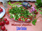 Çoban Salatası (görsel)