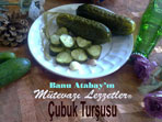 Çubuk Turşusu (görsel)