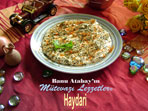 Haydari (görsel)
