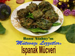 Ispanak Mücveri (görsel)