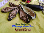 Karnıyarık Kurusu (görsel)