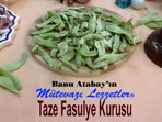 Taze Fasulye Kurusu (görsel)