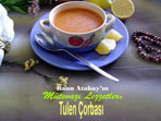 Tulen Çorbası (görsel)