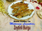Zeytinli Burgu (görsel)